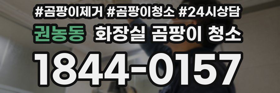 권농동 화장실 곰팡이 청소