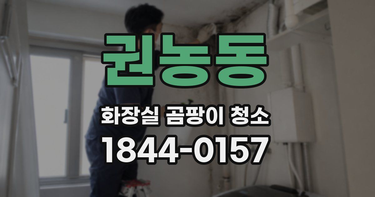 권농동 화장실 곰팡이 청소