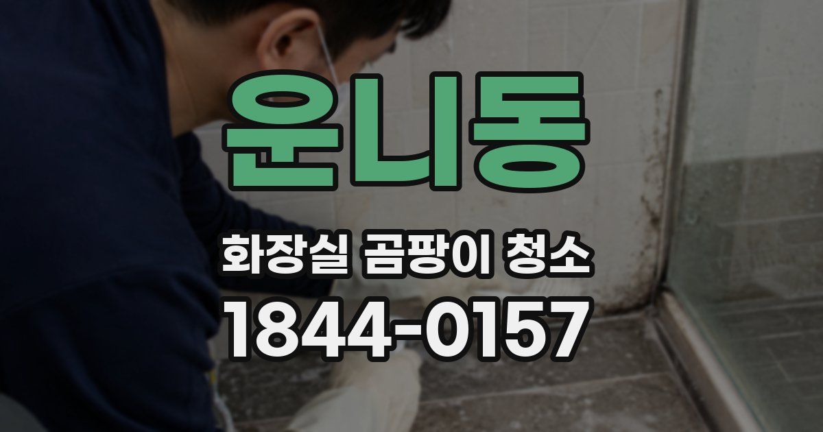 운니동 화장실 곰팡이 청소