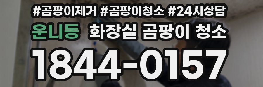 운니동 화장실 곰팡이 청소