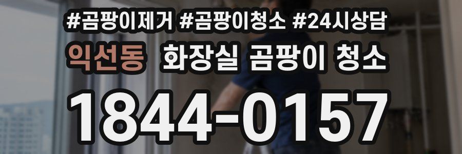 익선동 화장실 곰팡이 청소