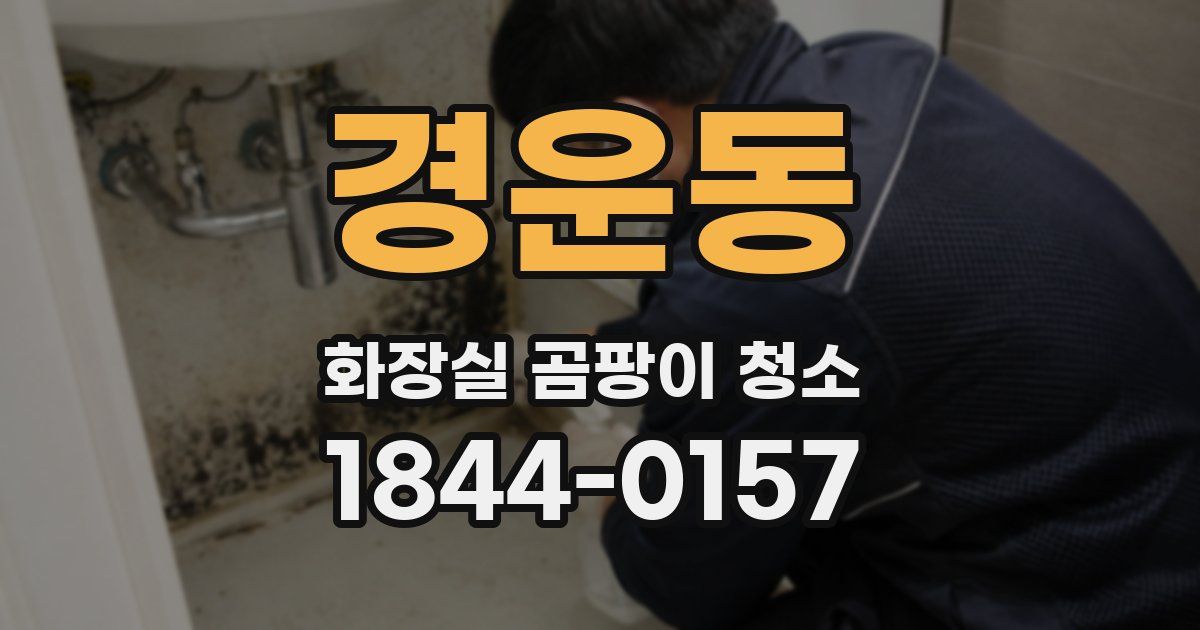 경운동 화장실 곰팡이 청소