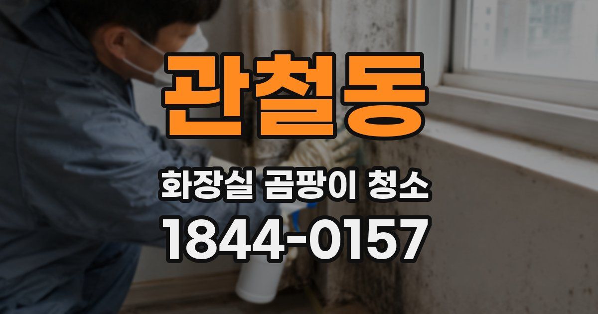 관철동 화장실 곰팡이 청소