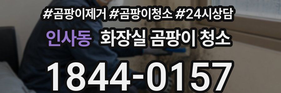 인사동 화장실 곰팡이 청소