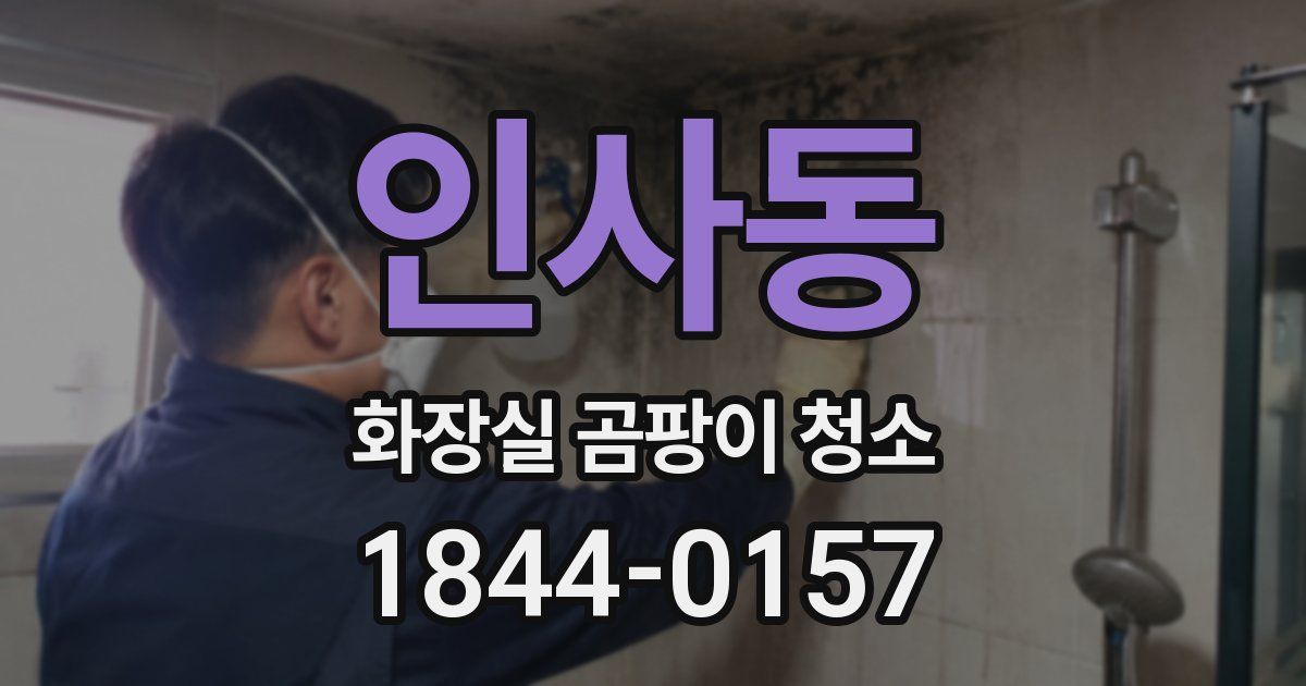 인사동 화장실 곰팡이 청소