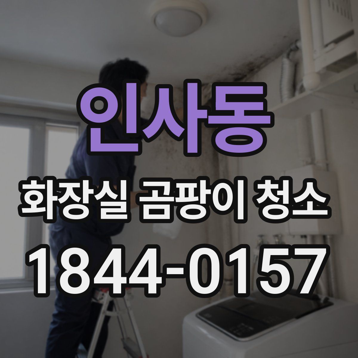 인사동 화장실 곰팡이 청소
