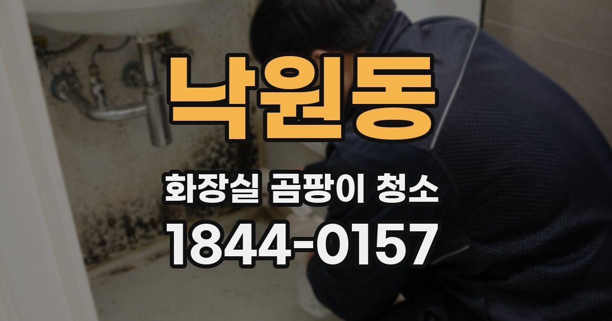 낙원동 화장실 곰팡이 청소
