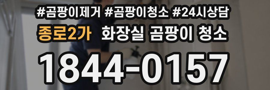종로2가 화장실 곰팡이 청소