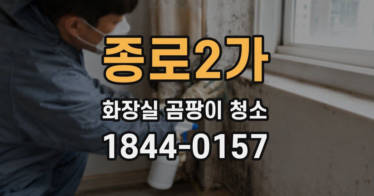 종로2가 화장실 곰팡이 청소