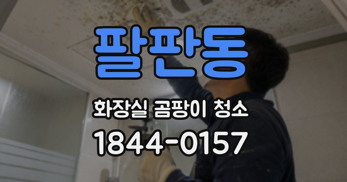 팔판동 화장실 곰팡이 청소