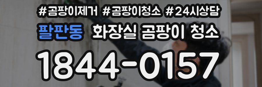 팔판동 화장실 곰팡이 청소