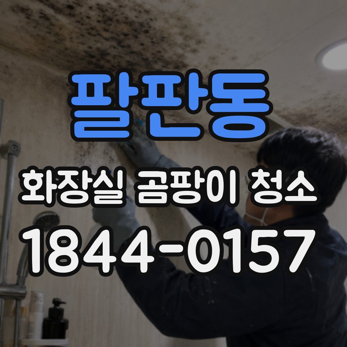 팔판동 화장실 곰팡이 청소