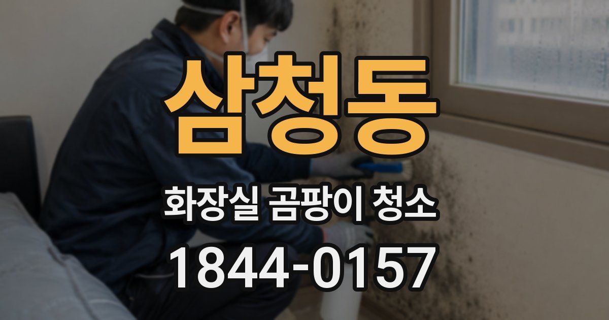 삼청동 화장실 곰팡이 청소