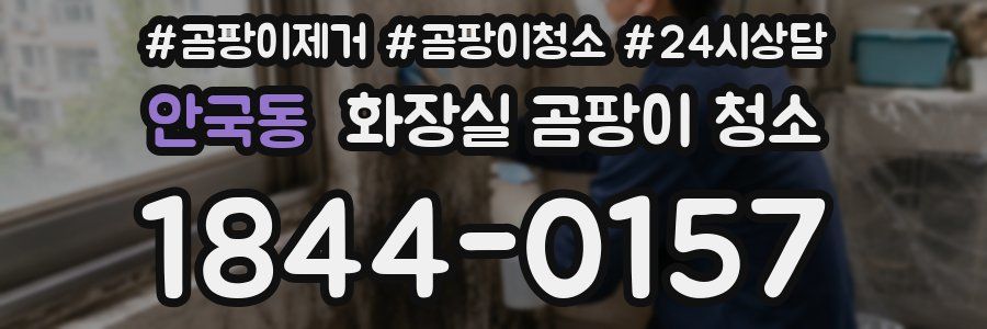 안국동 화장실 곰팡이 청소
