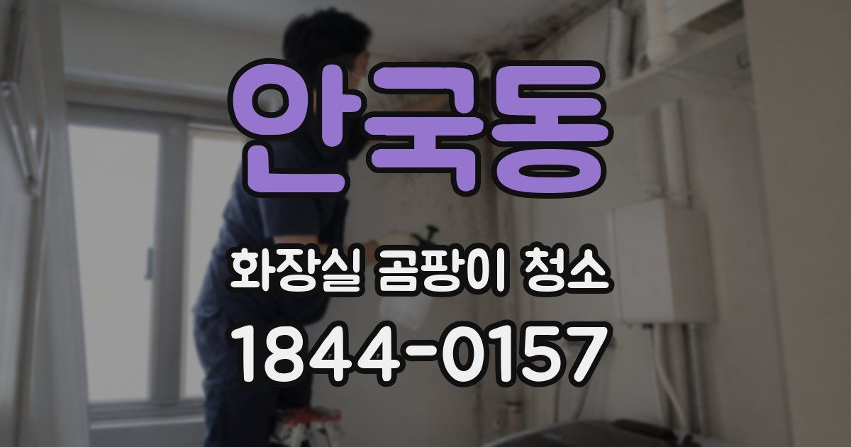 안국동 화장실 곰팡이 청소