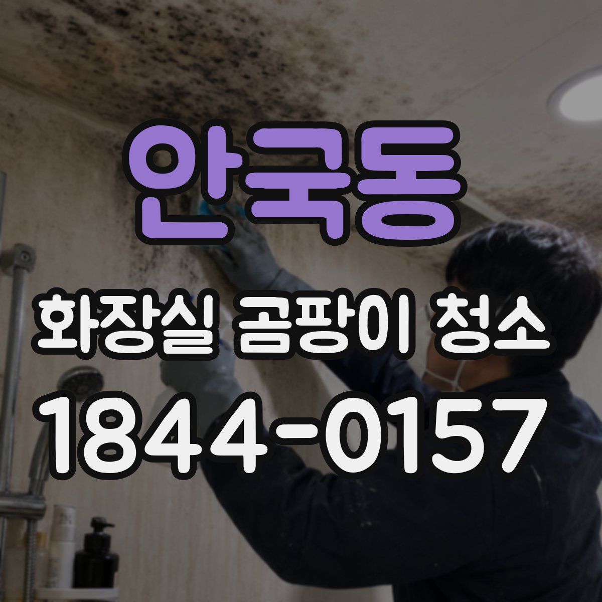 안국동 화장실 곰팡이 청소