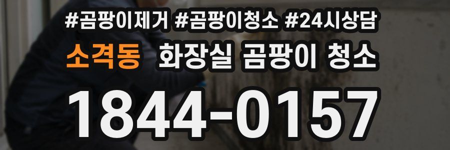 소격동 화장실 곰팡이 청소