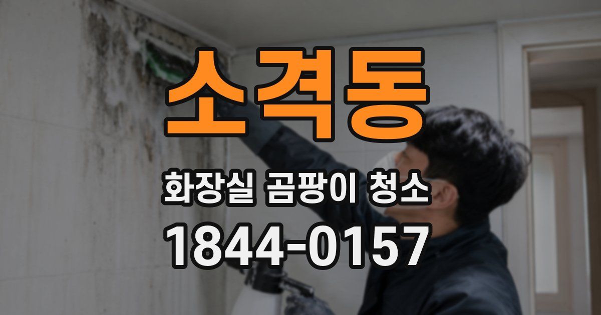 소격동 화장실 곰팡이 청소