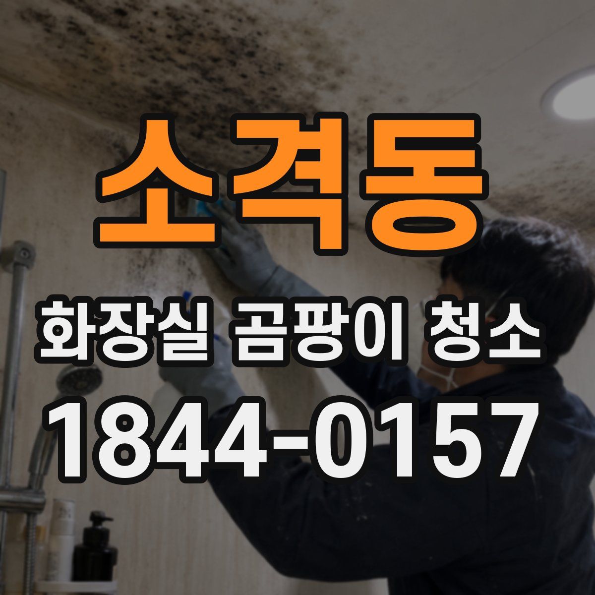 소격동 화장실 곰팡이 청소