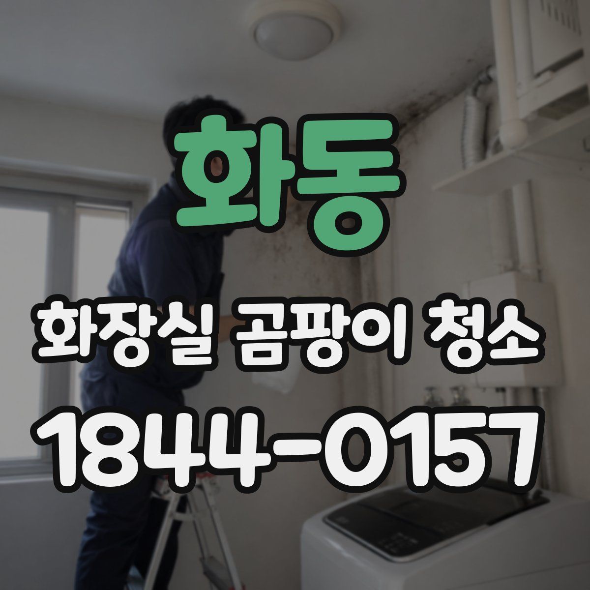 화동 화장실 곰팡이 청소