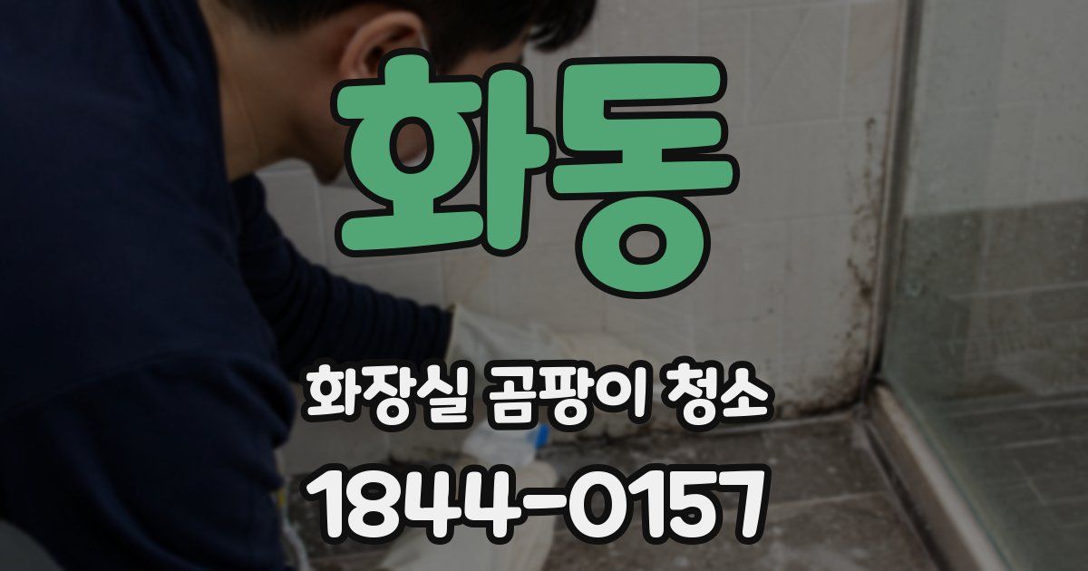 화동 화장실 곰팡이 청소