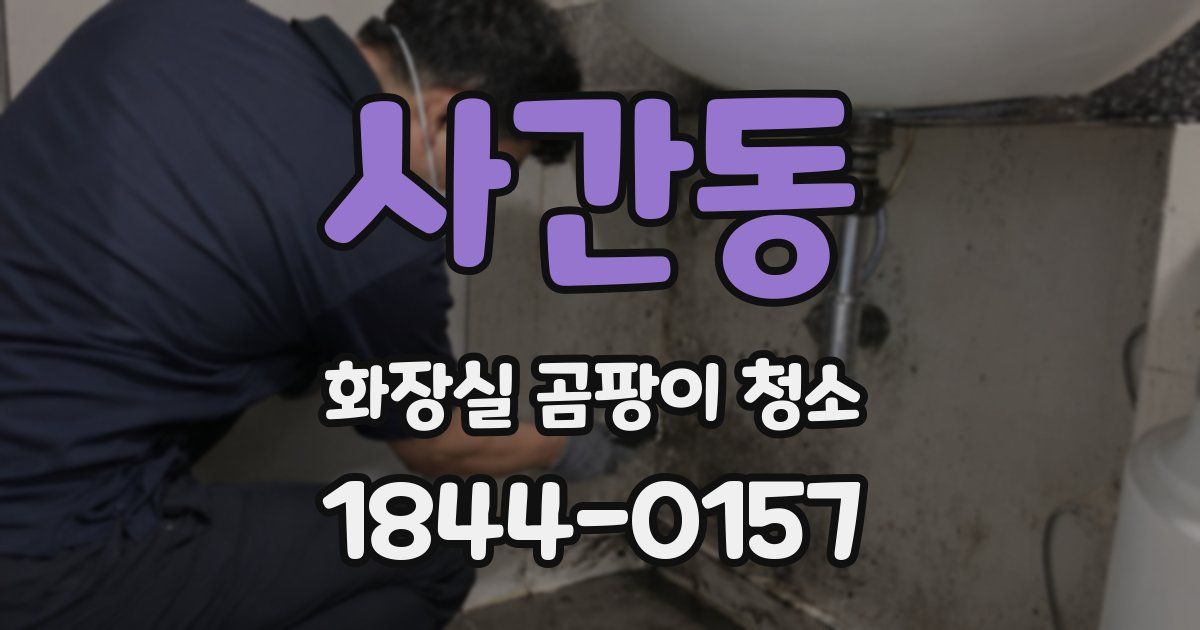 사간동 화장실 곰팡이 청소