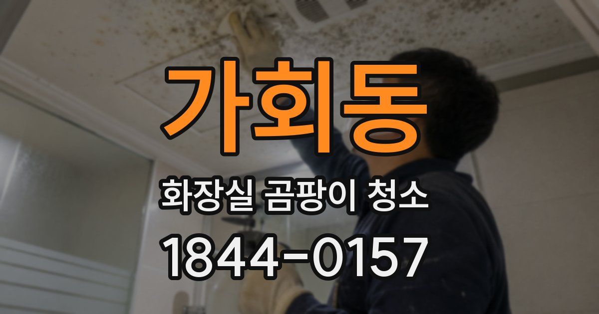 가회동 화장실 곰팡이 청소
