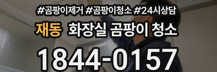 재동 화장실 곰팡이 청소