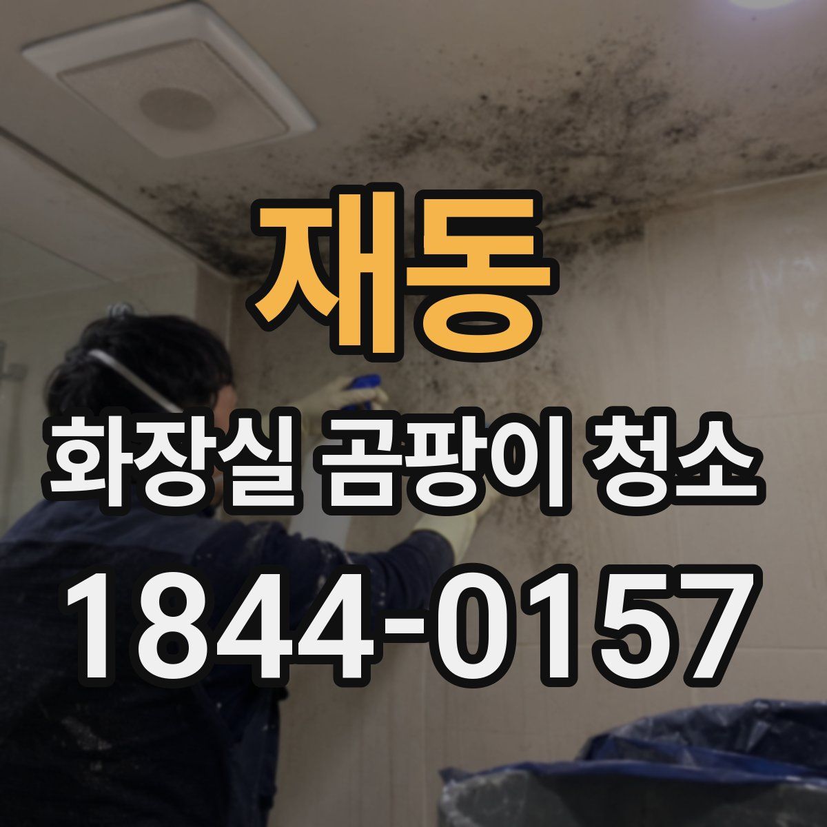 재동 화장실 곰팡이 청소
