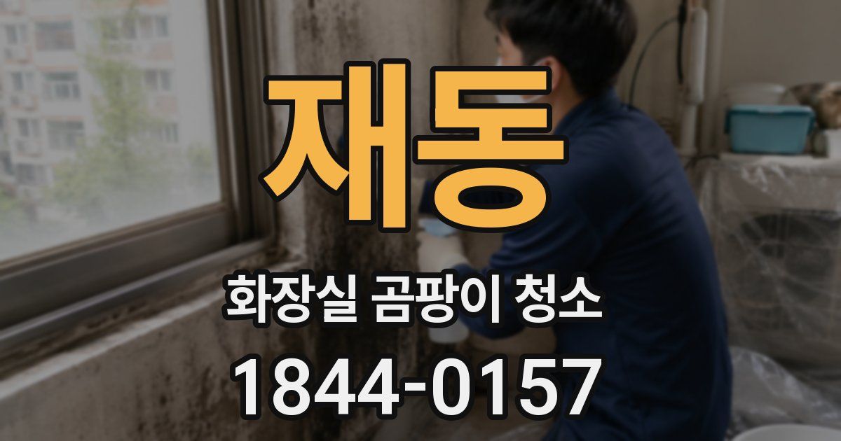 재동 화장실 곰팡이 청소