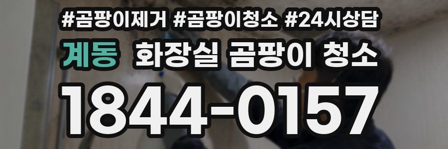 계동 화장실 곰팡이 청소