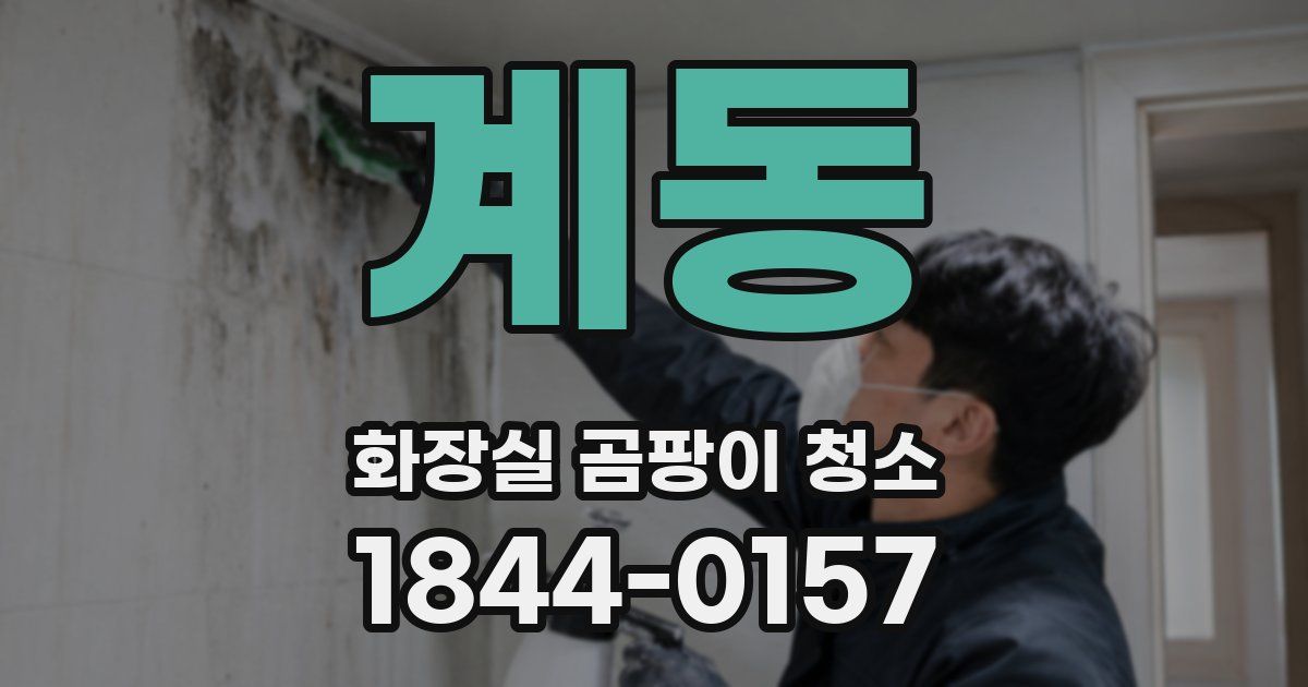 계동 화장실 곰팡이 청소