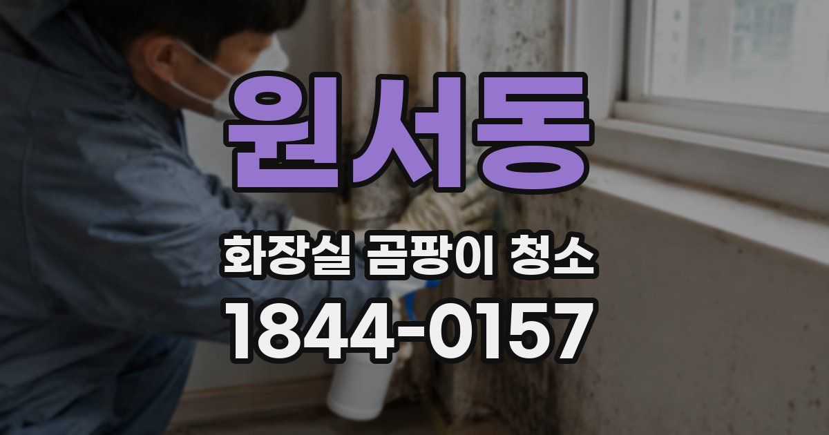 원서동 화장실 곰팡이 청소