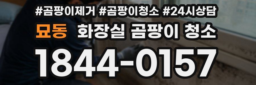 묘동 화장실 곰팡이 청소