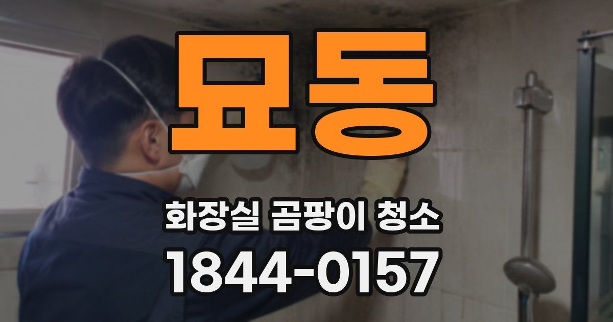 묘동 화장실 곰팡이 청소