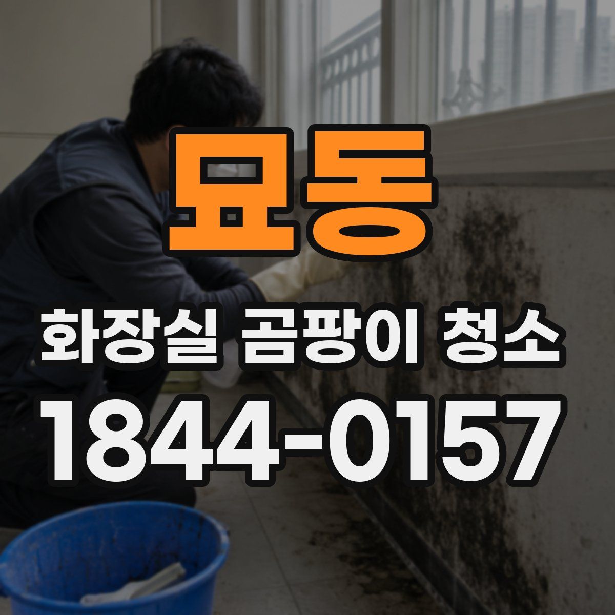 묘동 화장실 곰팡이 청소