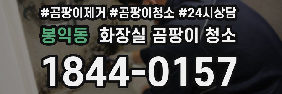 봉익동 화장실 곰팡이 청소