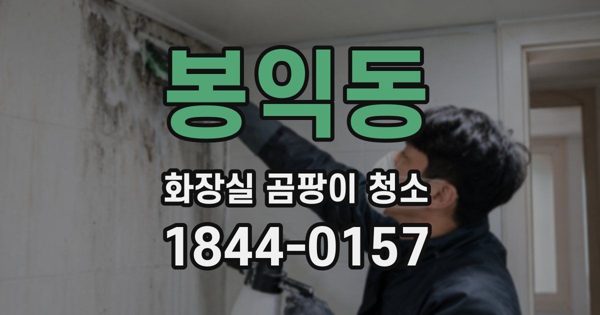 봉익동 화장실 곰팡이 청소
