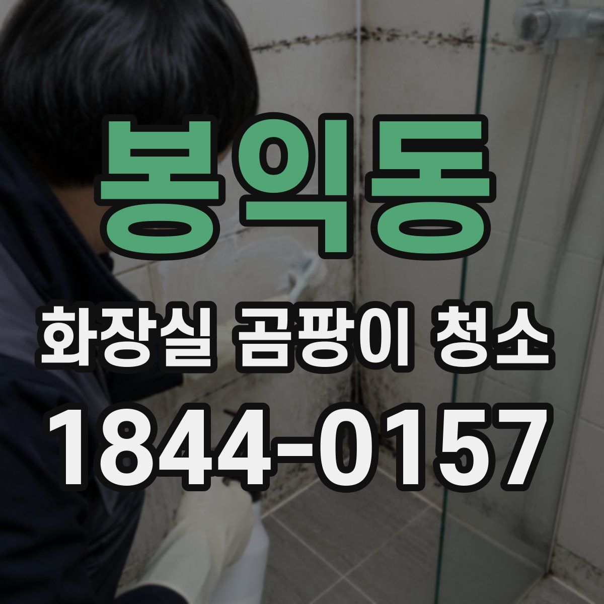 봉익동 화장실 곰팡이 청소