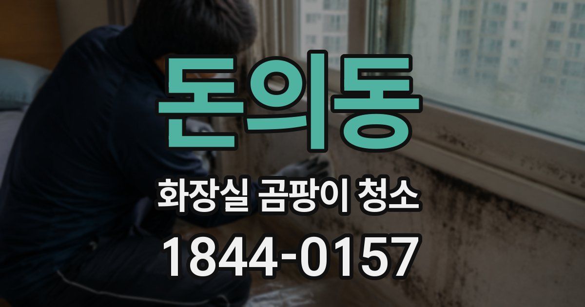 돈의동 화장실 곰팡이 청소