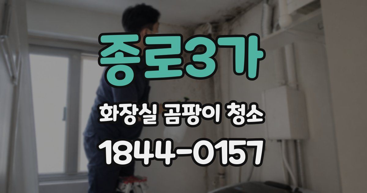 종로3가 화장실 곰팡이 청소