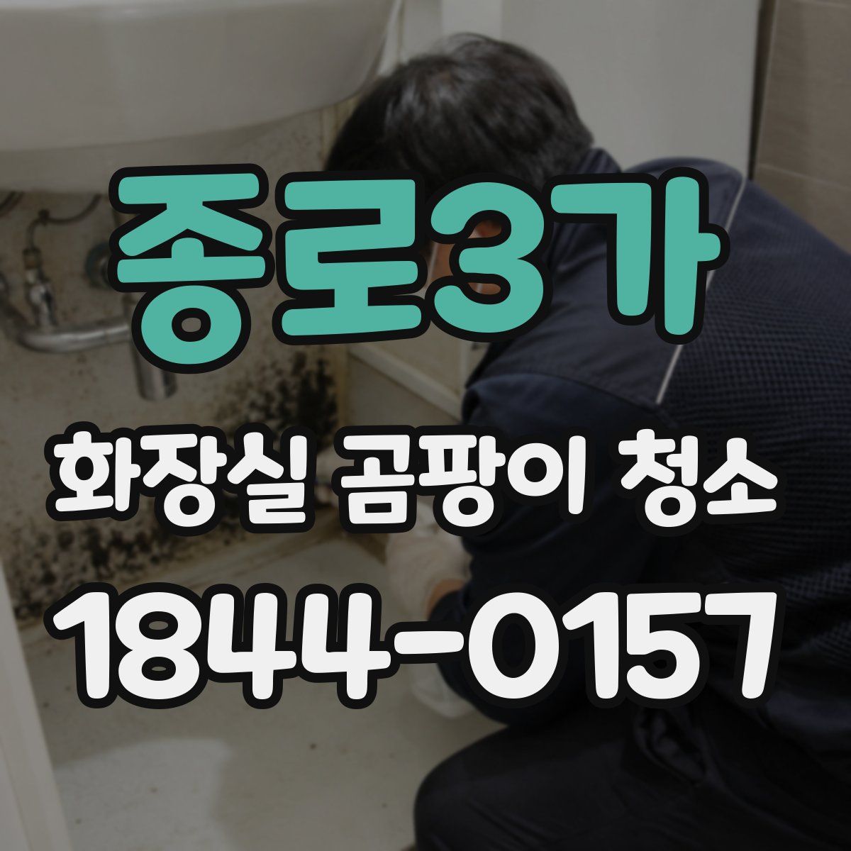 종로3가 화장실 곰팡이 청소