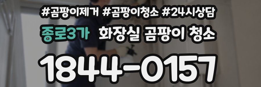 종로3가 화장실 곰팡이 청소