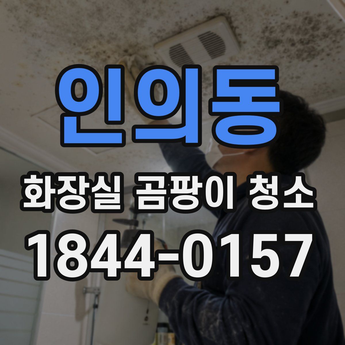 인의동 화장실 곰팡이 청소