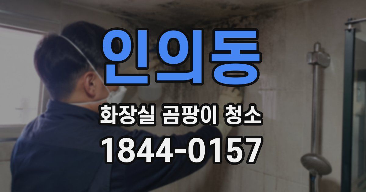 인의동 화장실 곰팡이 청소