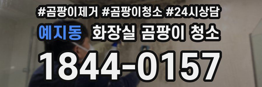 예지동 화장실 곰팡이 청소