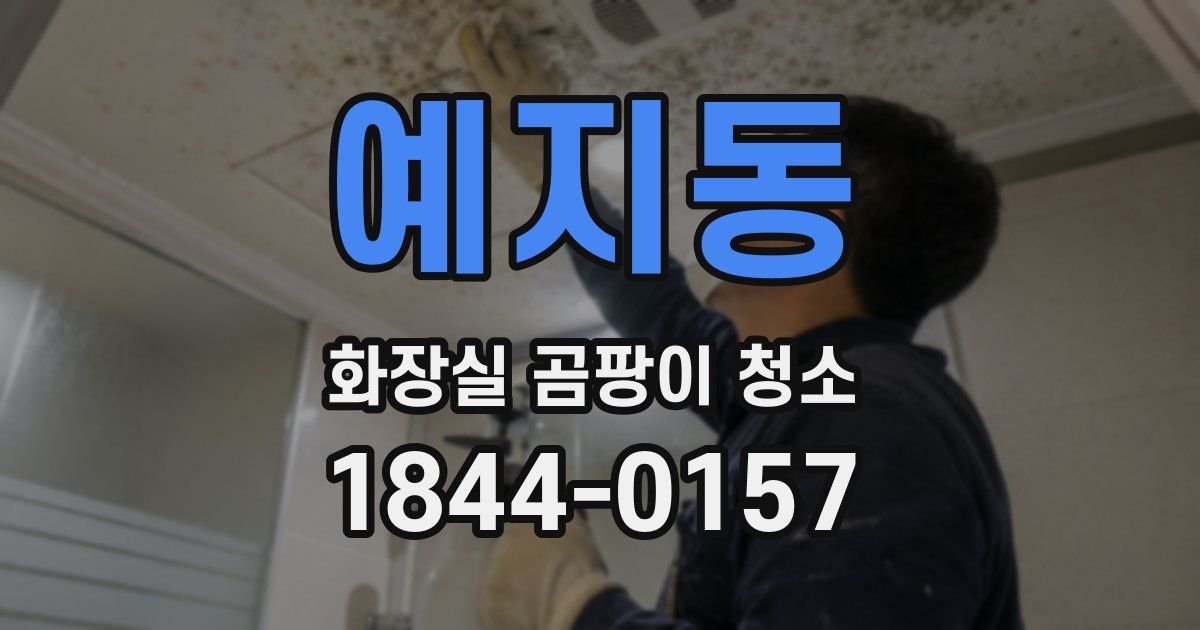 예지동 화장실 곰팡이 청소