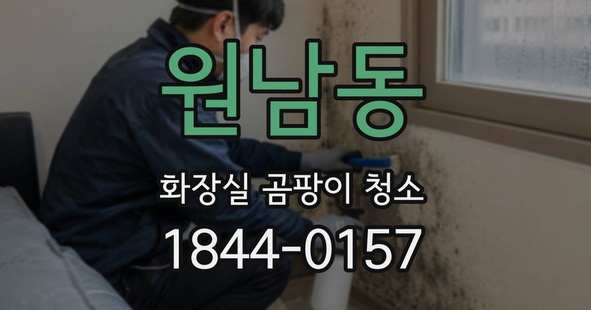 원남동 화장실 곰팡이 청소