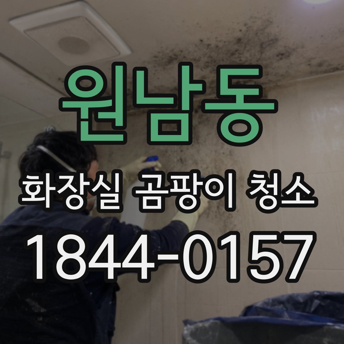 원남동 화장실 곰팡이 청소