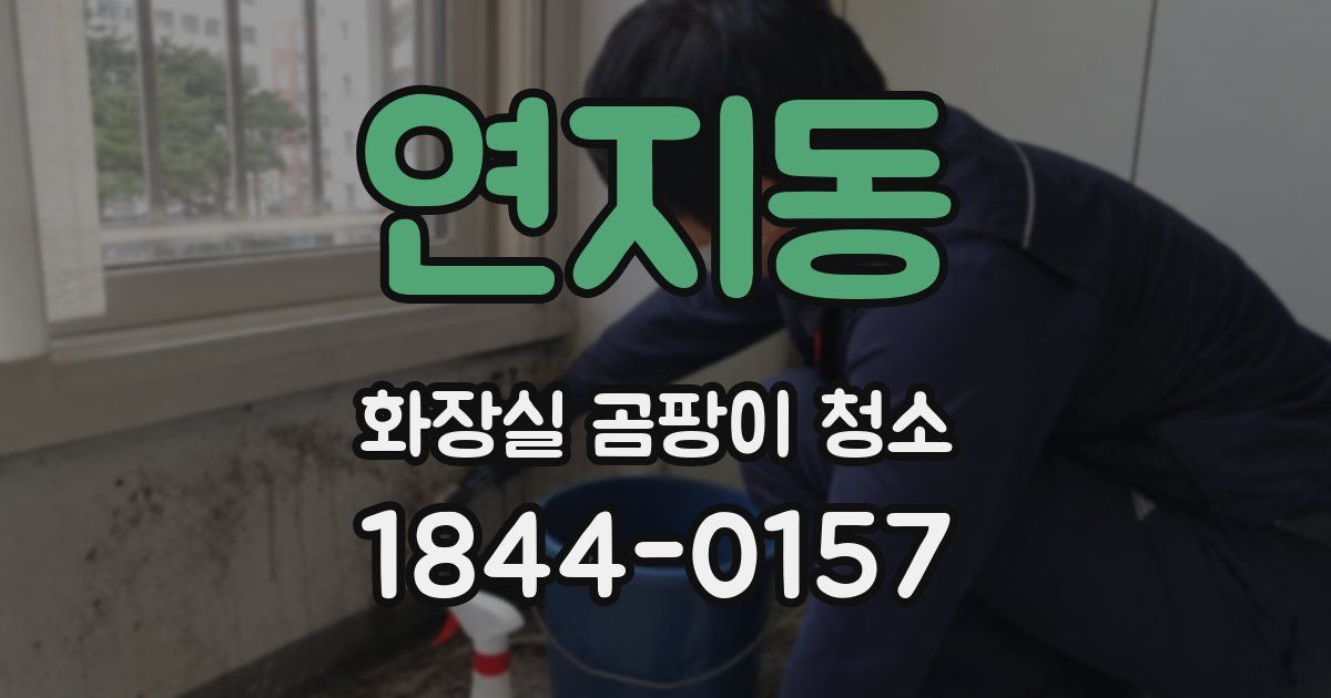 연지동 화장실 곰팡이 청소